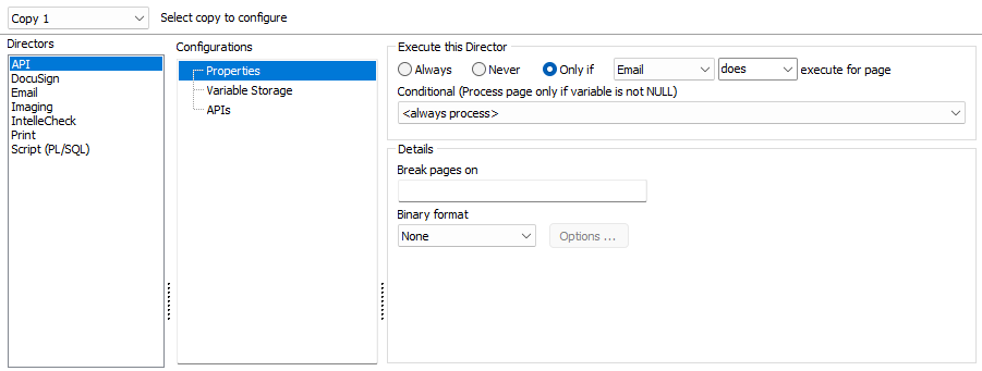 The APIDirector Properties screen. Here you can format when to execute the director, configure page breaks, and select document format.